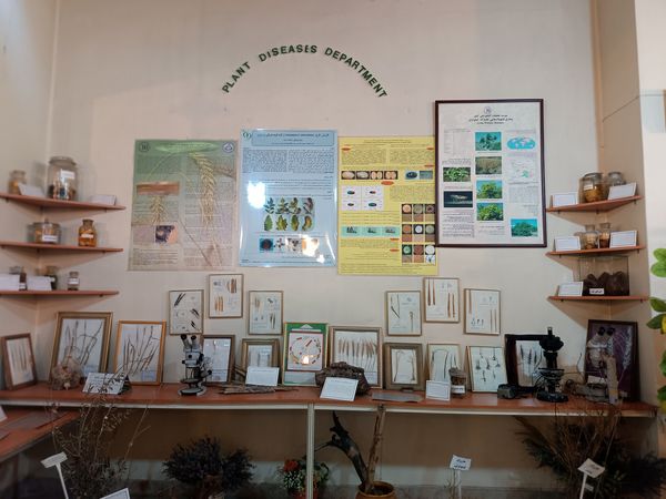 گام خبرنگاران در مسیر تنوع زیستی