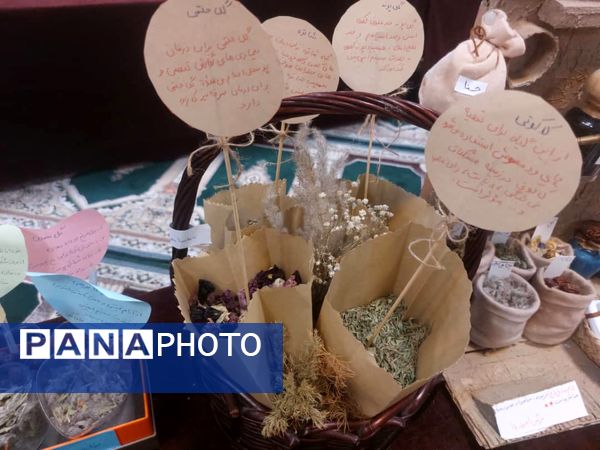 برگزاری نمایشگاه گیاهان دارویی در دبیرستان شاهد شهدای اقتدار ملارد 