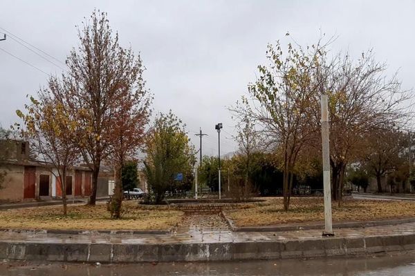 باران؛ قصه مهربانی آسمان 