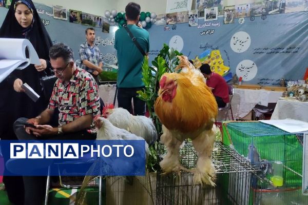 اولین رویداد استانی الف تا در مشهد