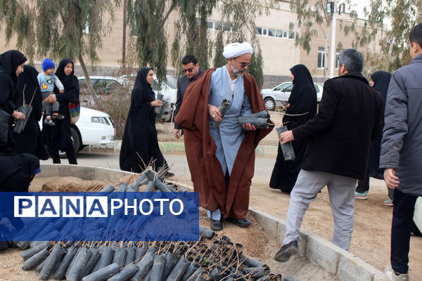 جلوه‌هایی از آیین درختکاری در اردوگاه شهدای 15 خرداد قم