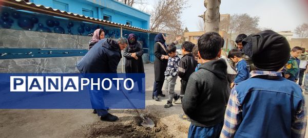 کاشت نهال در دبستان پسرانه مبین شیروان