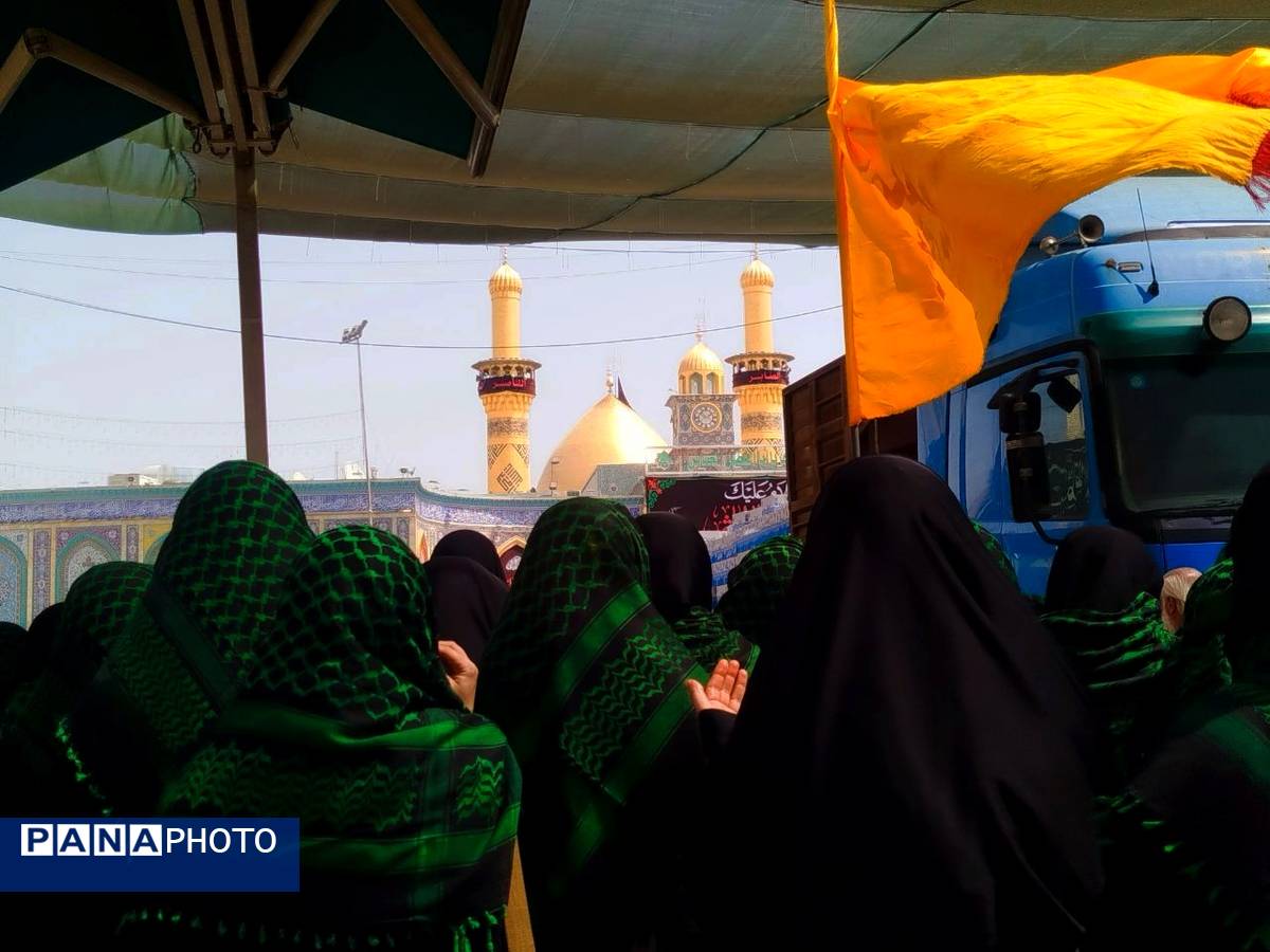 میلیون‌ها گام عاشقی؛ روایت حماسه اربعین حسینی از نجف تا کربلا