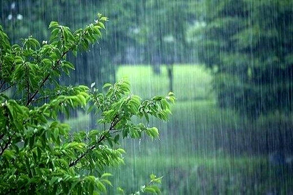 تشدید بارش در جنوب کشور