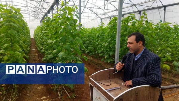 بازدید از گلخانه نمونه خسروشاه در هفته بسیج