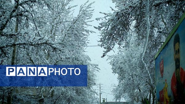 وقتی زمین زیر لحاف سفید برف به خواب میرود