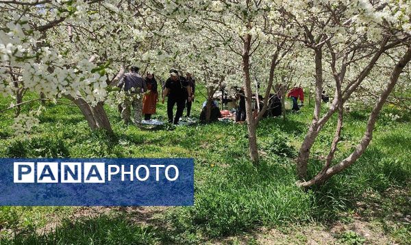 شهر زیبای بار، بهشت نیشابور