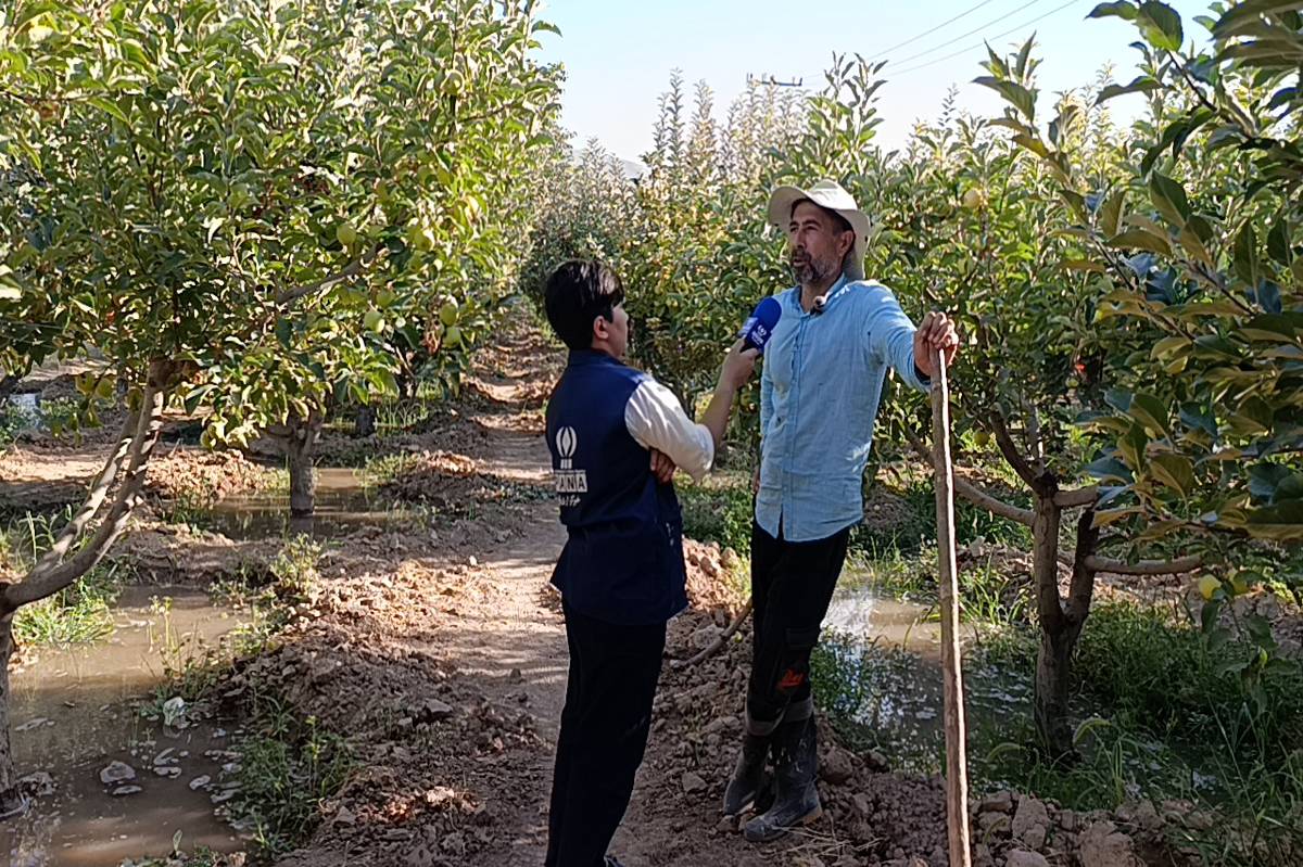 روستای شیرآباد سملقان؛ قطب تولید میوه‌های باکیفیت