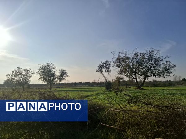 جنگل‌های هیرکانی کردکوی