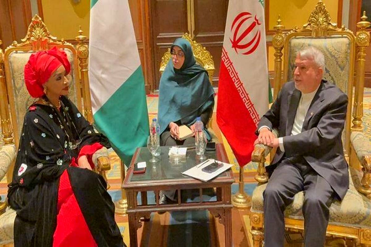 تاکیدصالحیامیری بر طراحی و اجرای نقشه راه دیپلماسی فرهنگی با نیجریه