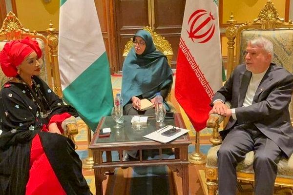 تاکیدصالحی‌امیری بر طراحی و اجرای نقشه راه دیپلماسی فرهنگی با نیجریه