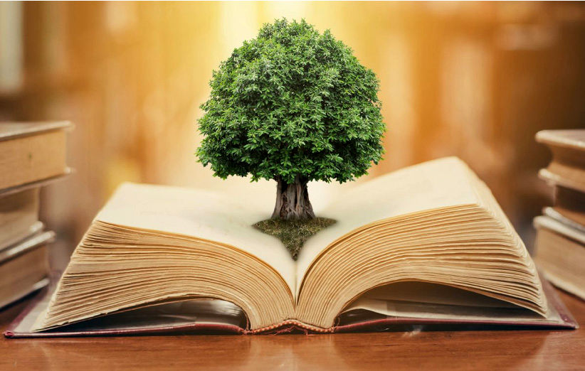 هدف اصلی جشنواره «برگی از دانش» ترویج فرهنگ کتابخوانی است