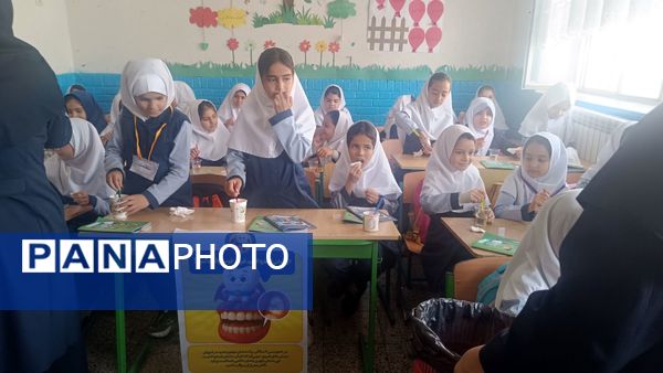 پویش مسواک خشک در مدرسه ضحی ۱ شهرستان شیروان