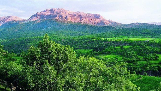 "کوه تاف: کشفی شگفت‌انگیز از زیبایی‌های طبیعی و فرهنگی در دل لرستان با ارتفاعی خیره‌کننده"