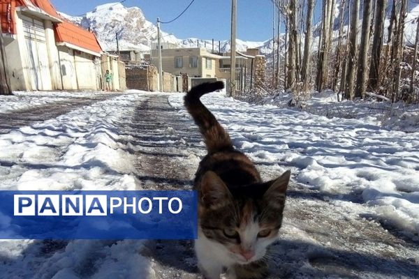 اولین برف زمستانی در بار