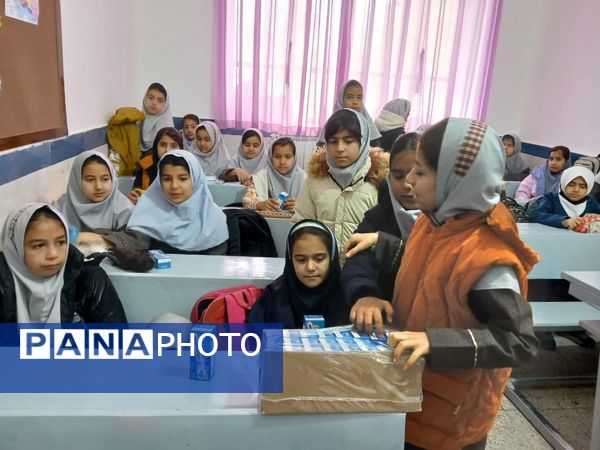 آغاز توزیع شیر در دبستان شهید نجفی فدافن