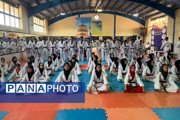 تجلیل از خیرخانه تکواندو آباده و اهدا مدال به تکواندوکاران مسابقات استانی