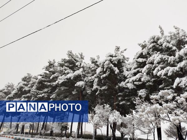 جلوه های زیبا از بارش برف در شهرستان نیشابور 