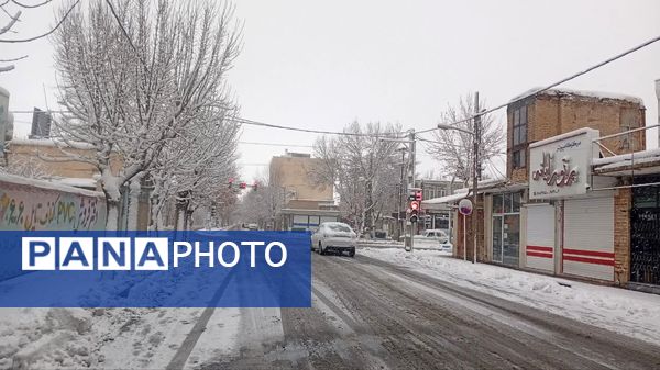 شازند سفیدپوش شد