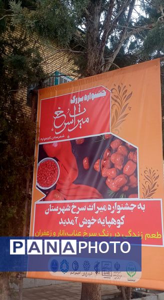 جشنواره «میراث سرخ»: جشنواره‌ای برای معرفی هویت و محصولات کشاورزی شهرستان کوهپایه