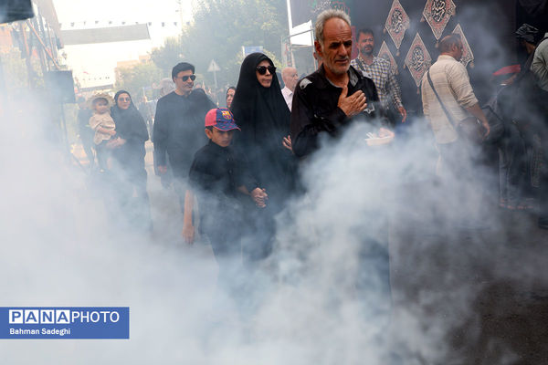 جاماندگان اربعین حسینی - تهران