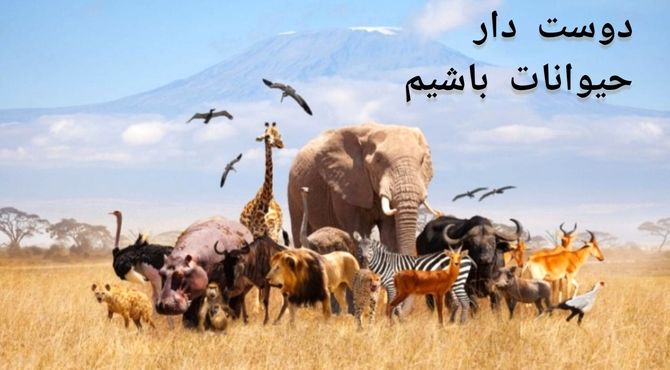 عجایب خلقت در دنیای حیوانات 