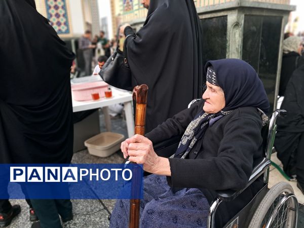 کبوتر حرم مشهد مقدس