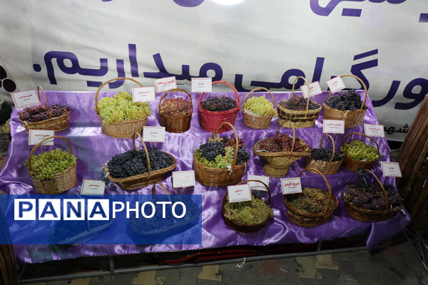 هشتمین جشنواره انگور ارومیه