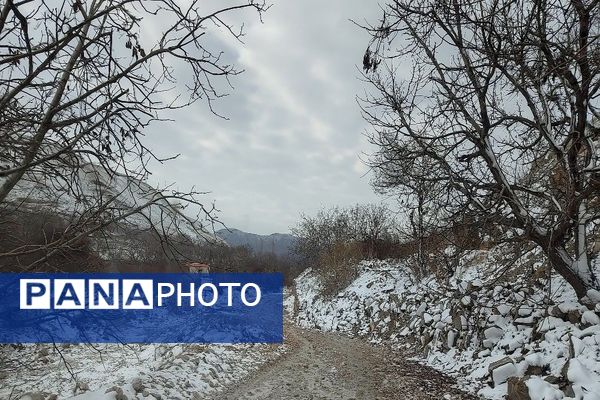 خودنمایی برف در شهر بار نیشابور