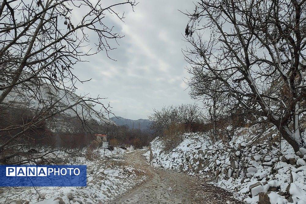 خودنمایی برف در شهر بار نیشابور