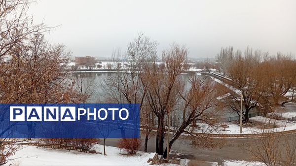 گرداب بن زیر چتر سپید برف