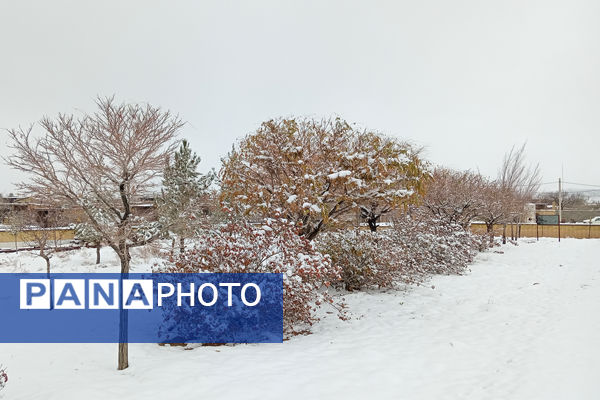 یک روز برفی در روستای بنادکوک‌ دیزه