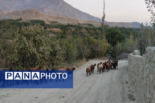 فصل زیبای پاییز در شهر بار نیشابور 