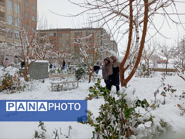 سپیدی بر چهره نیشابور، لبخند پاییز بر دیار فیروزه‌ای