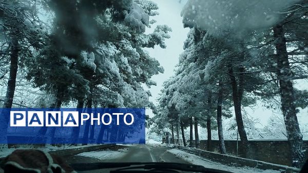 جلوه های زیبا از بارش برف در شهرستان نیشابور 