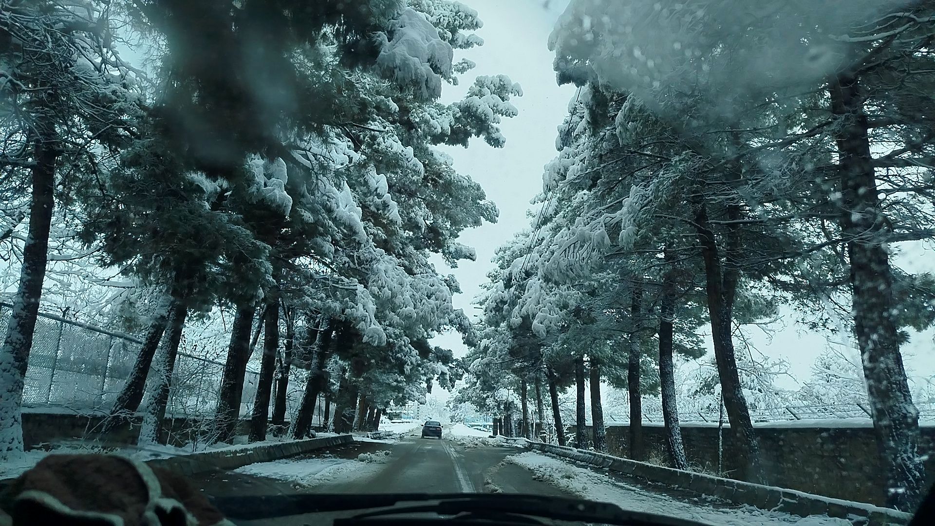 جلوه های زیبا از بارش برف در شهرستان نیشابور 