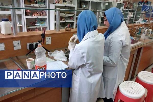 برگزاری مرحله استانی محور علوم آزمایشگاهی به صورت غیرحضوری در ملارد با حضور ۶ تیم برتر