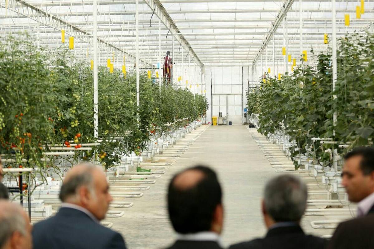 خرمآباد، قطب آینده کشت گلخانهای در لرستان
