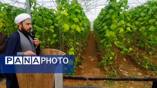 بازدید از گلخانه نمونه خسروشاه در هفته بسیج