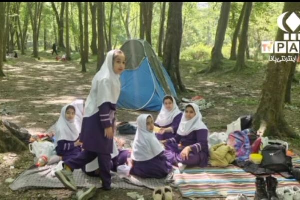 اجرای اولین طرح ملی «چوبان؛ چوب نگهبان» در محمودآباد