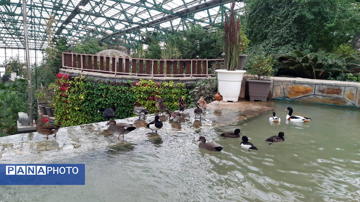 باغ پرندگان قم: جاذبه‌ای بی‌نظیر در قلب کشور