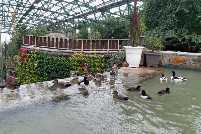 باغ پرندگان قم: جاذبه‌ای بی‌نظیر در قلب کشور