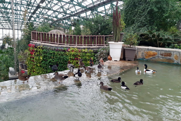 باغ پرندگان قم: جاذبه‌ای بی‌نظیر در قلب کشور