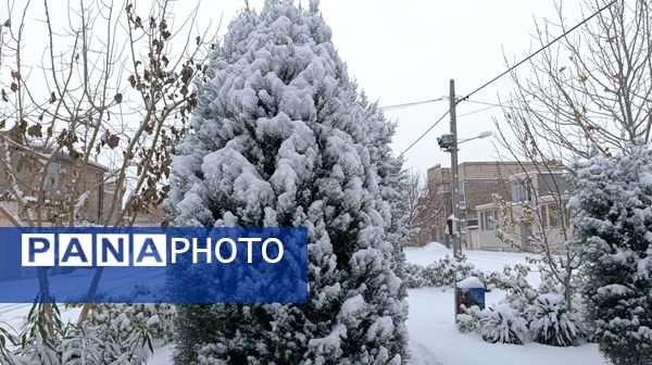 بارش زیبای برف پاییزی در شهرستان نیشابور 