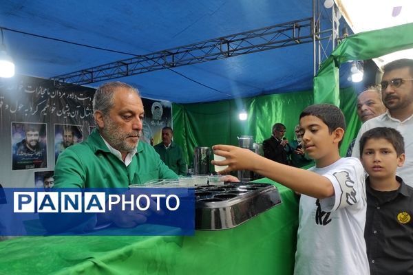 شادپیمایی بزرگداشت حضرت شاهچراغ(ع)