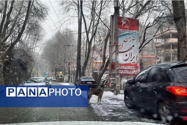 بارش نعمت‌های خداوند در آسمان مشهد