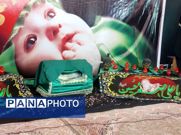 همایش بزرگ شیرخوارگان حسینی در بیرجند