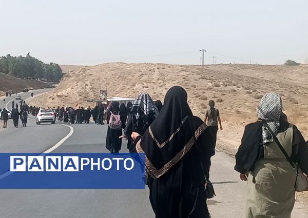 گام هایی از جنس عشق به امام رضا (ع)