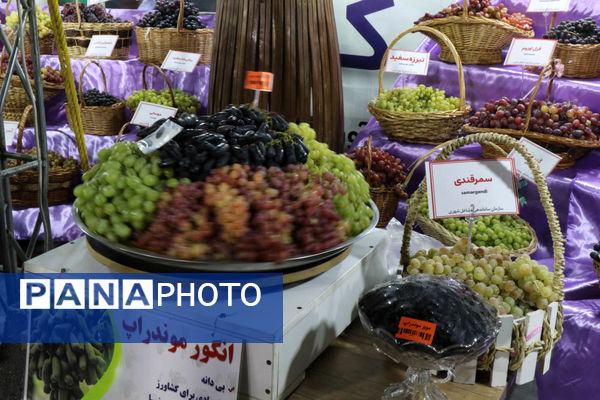هشتمین جشنواره انگور ارومیه
