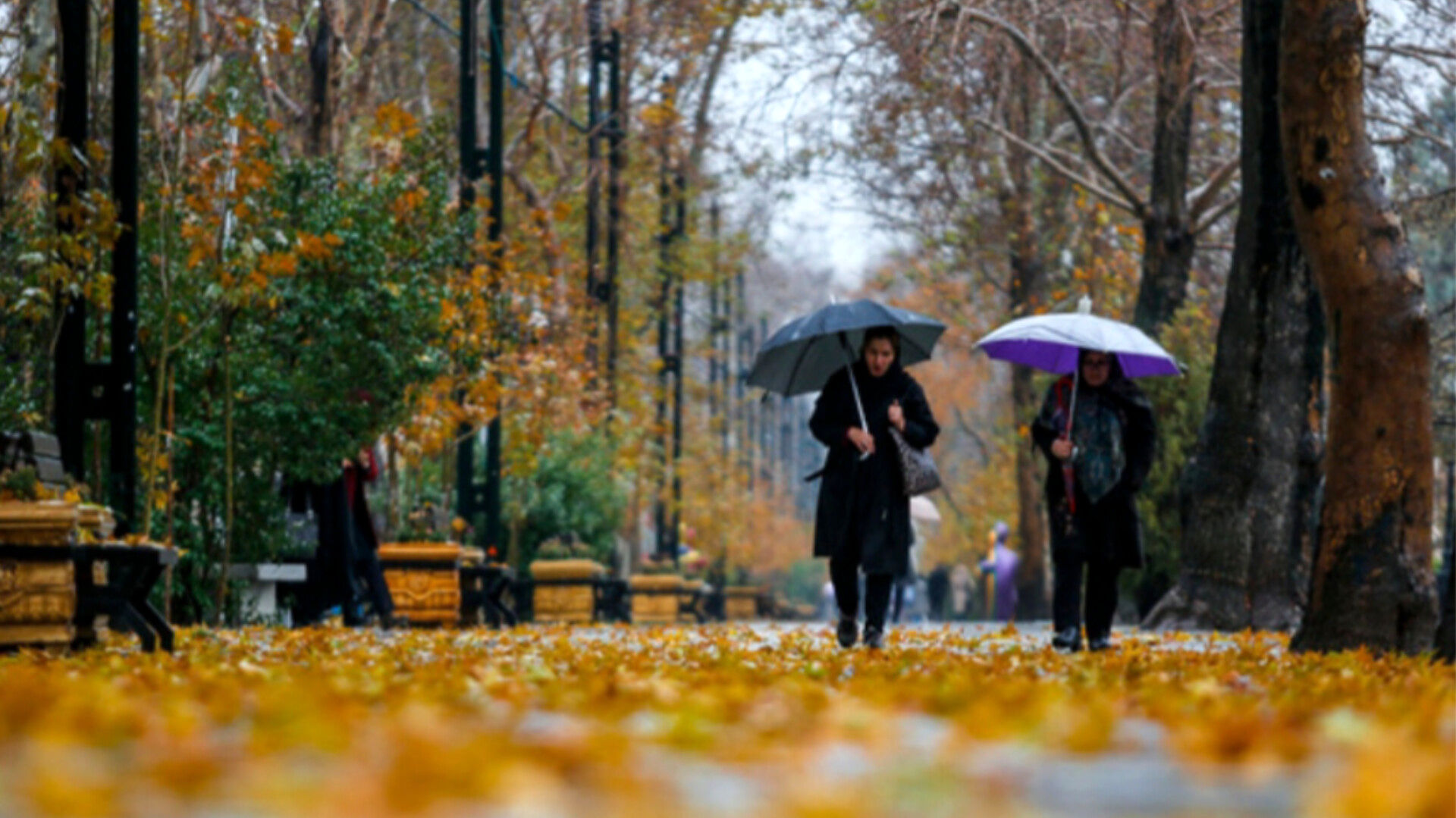 بارانی که پس از مدت ها،مهمان زمین تشنه شد